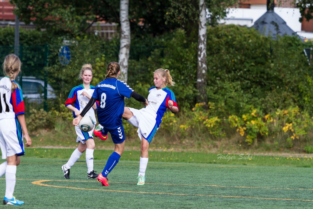 Bild 284 - B-Juniorinnen SV Henstedt Ulzburg - FSC Kaltenkirchen : Ergebnis: 3:2